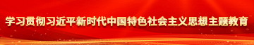 操美女的逼影院学习贯彻习近平新时代中国特色社会主义思想主题教育